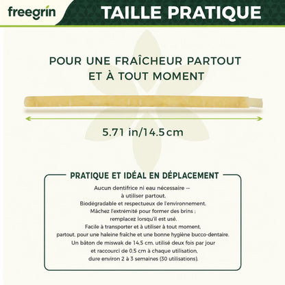 FreeGrin Brosse à Dents Miswak de Qualité Supérieure Personnalisée en Usine Saveurs Naturelles Clou de Girofle Menthe Sachet Sous Vide pour Usage Quotidien Dentifrices Miswak