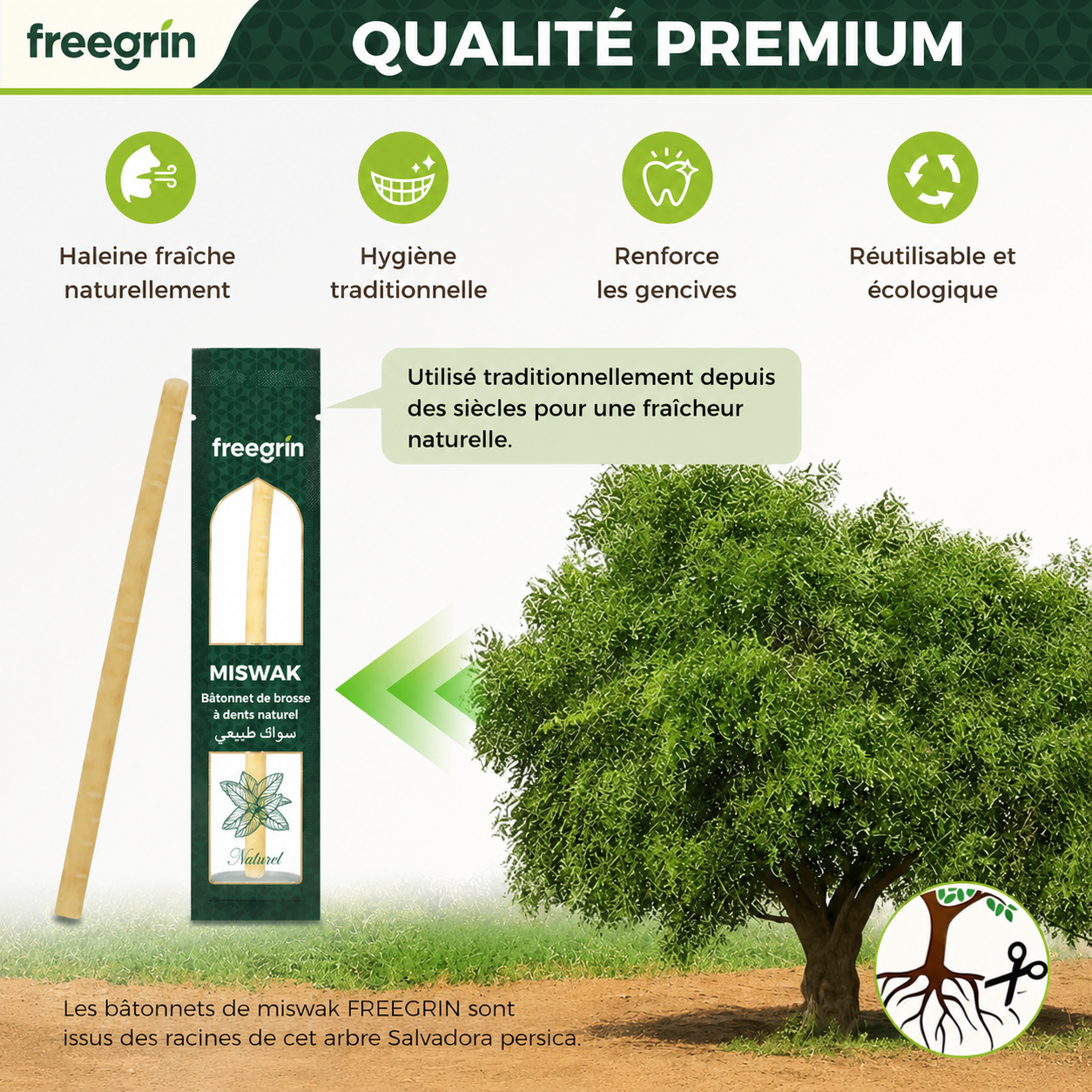 FreeGrin Brosse à Dents Miswak de Qualité Supérieure Personnalisée en Usine Saveurs Naturelles Clou de Girofle Menthe Sachet Sous Vide pour Usage Quotidien Dentifrices Miswak